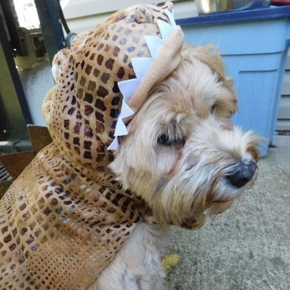 Dog Costume Dinosaur Brown Reptile Print MEDIUM Length 14-17" Girth 19-23" NWT - Picture 2 of 8